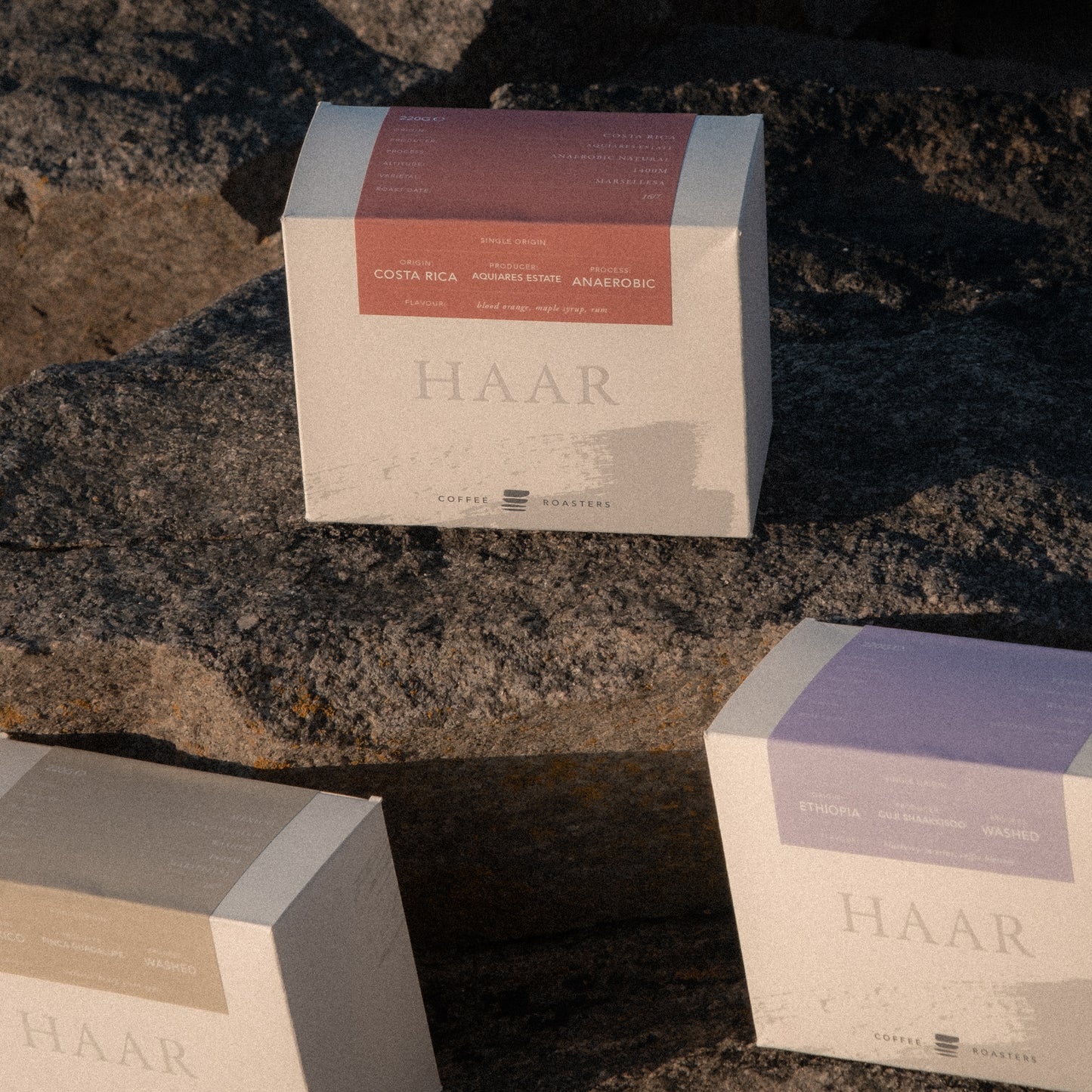 3 Month Prepaid Subscription